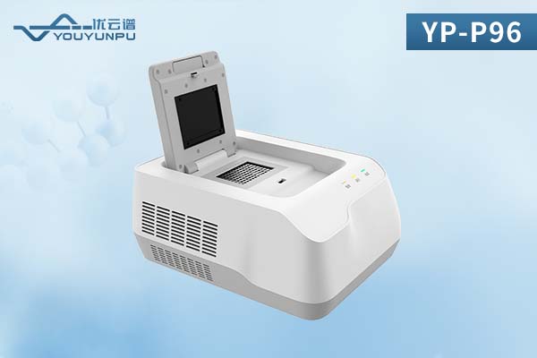 YP-P96 YP-P96